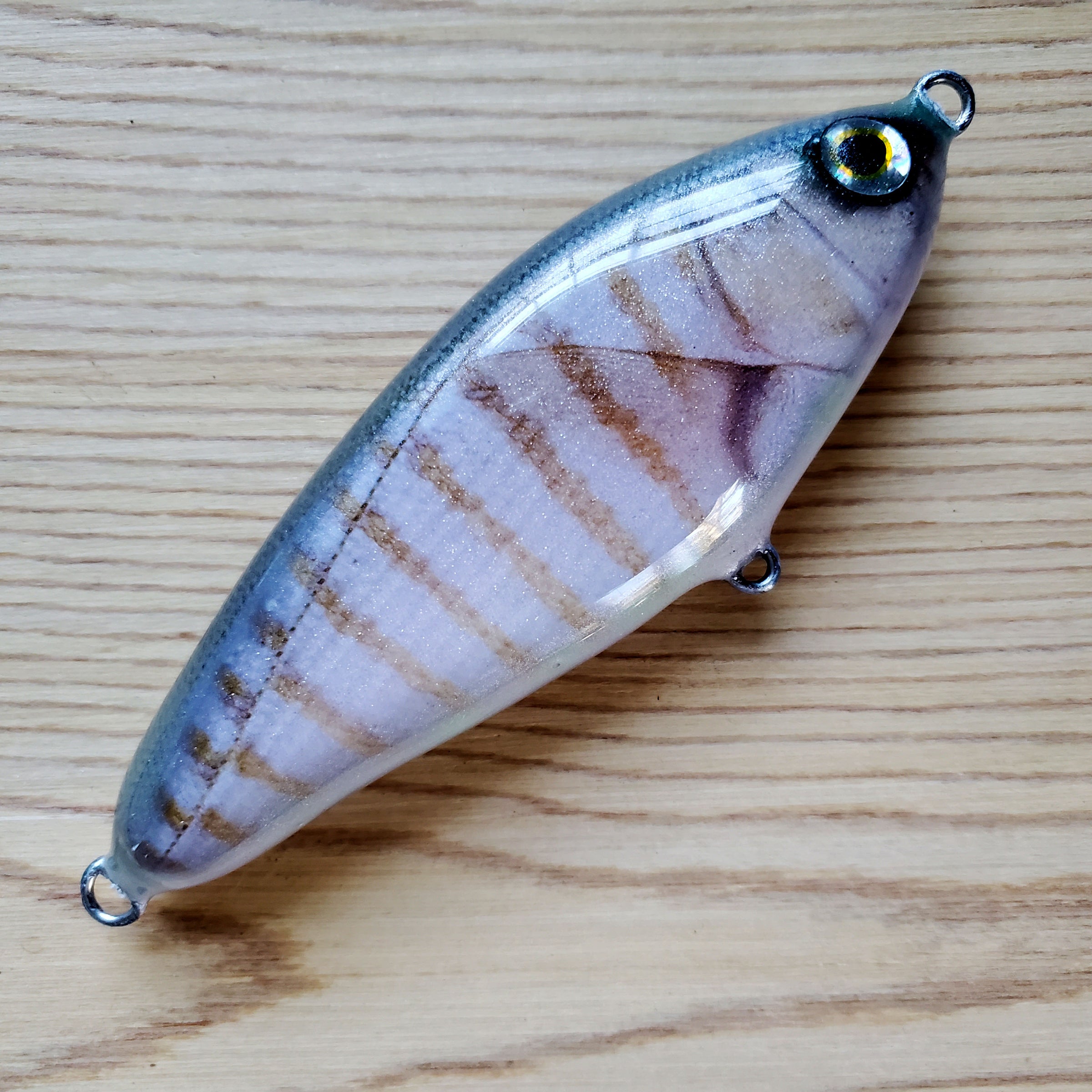 fatbodu hungry perch fishing lure Capt. Bert's Hounder Spinnerbait and pike all fall for the Chubby Darter. DUO Finesse Trout Fishing Floating
